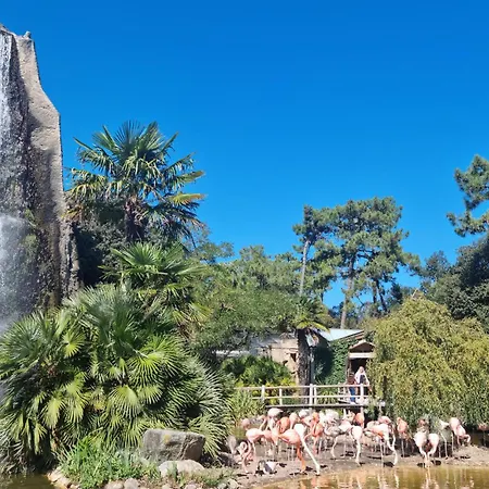 Дом отдыха Gorgeous In With Wifi Руайян