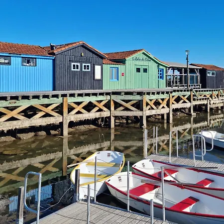 Gorgeous In With Wifi Руайян