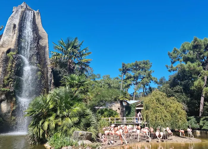 Casa vacanze Gorgeous In With Wifi Royan